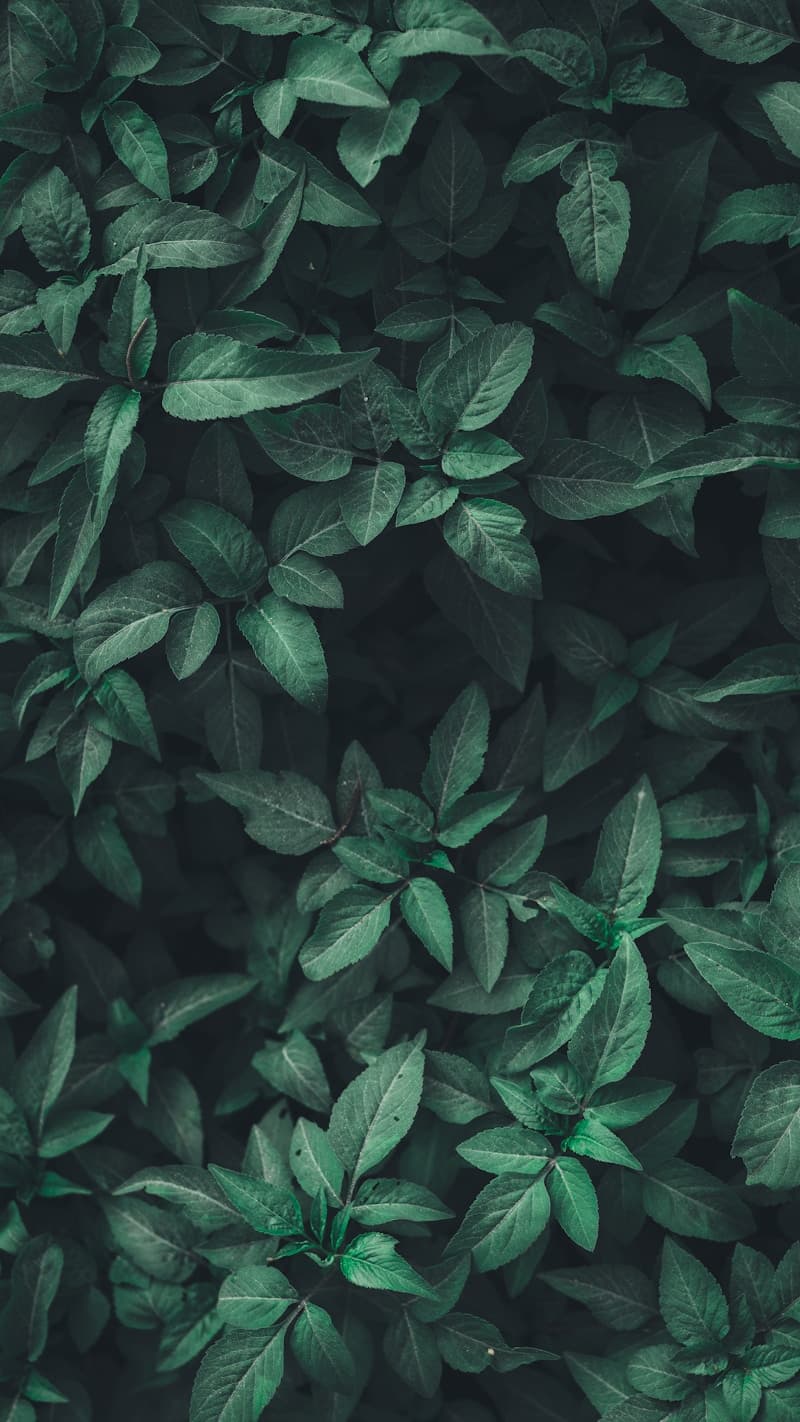 Sustainability